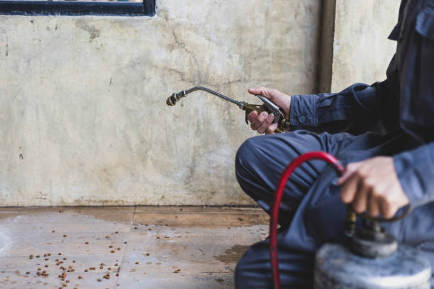 Best Mosquito Control Services  in White Settlement, TX